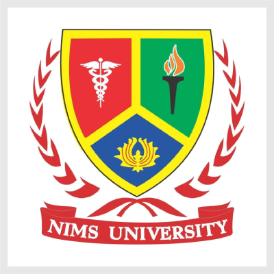 NIMS Institute