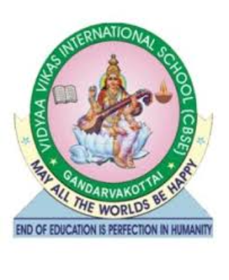 Vidyaa Vikas International School